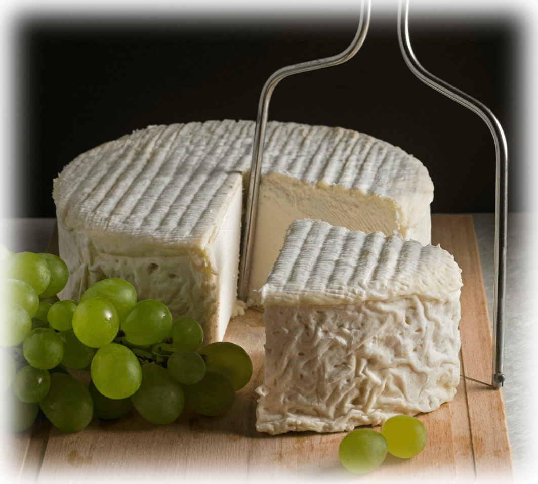 Tomme Périgordine