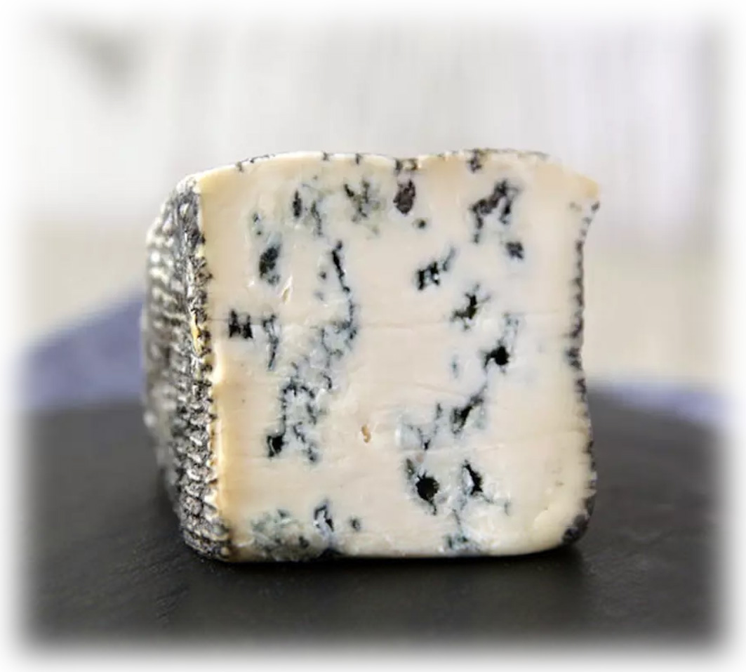 Blue de Chèvre