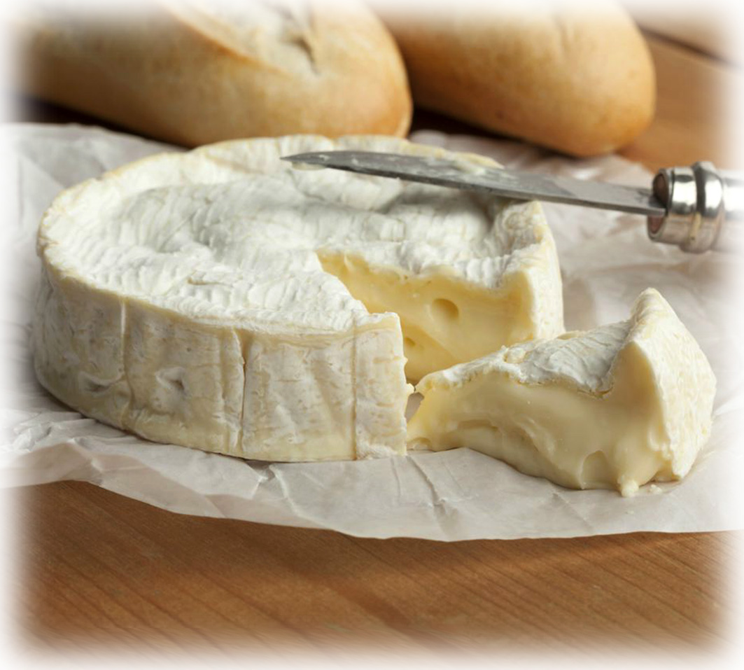 Camembert