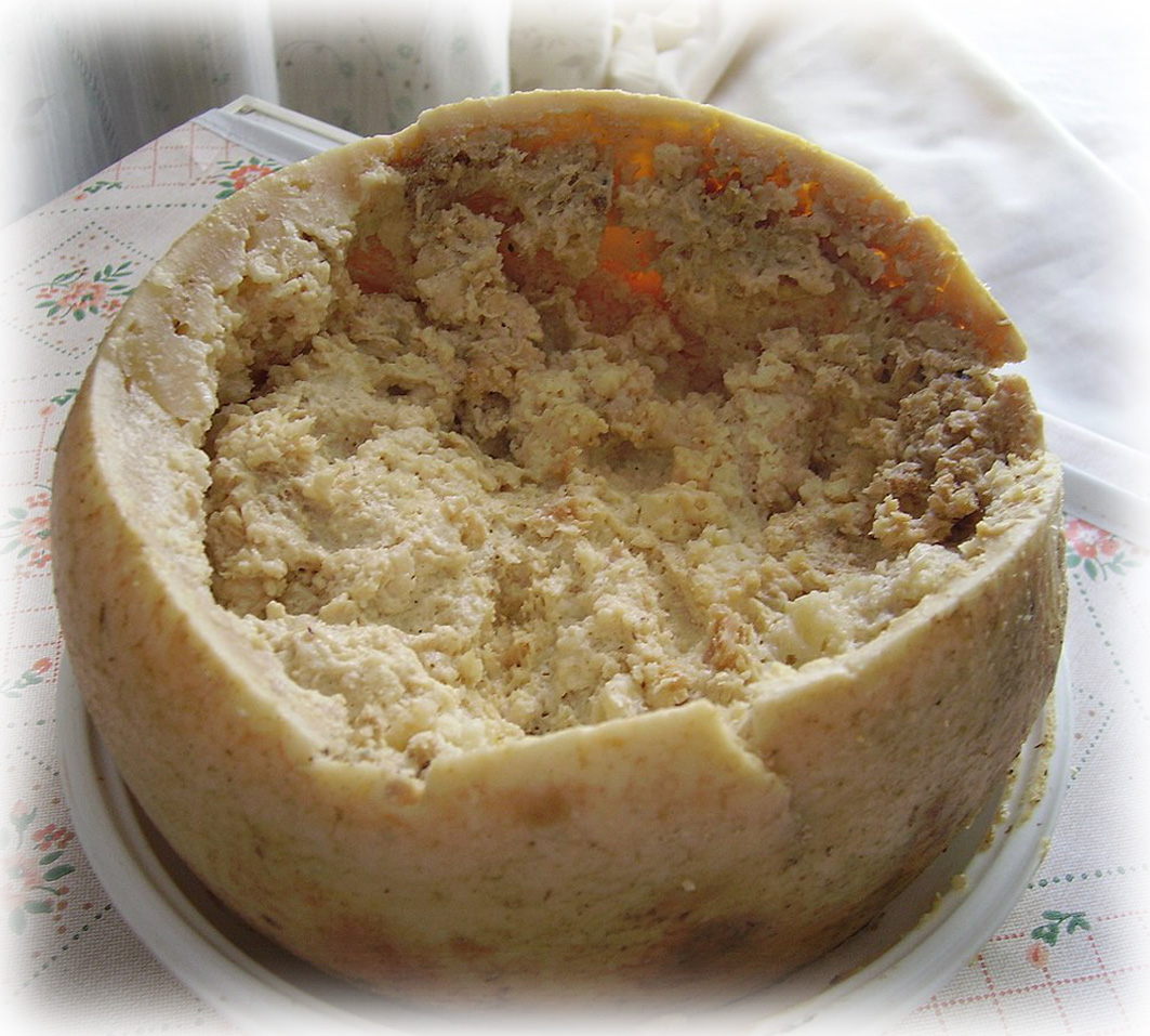 Casu Marzu / Casu frazigu