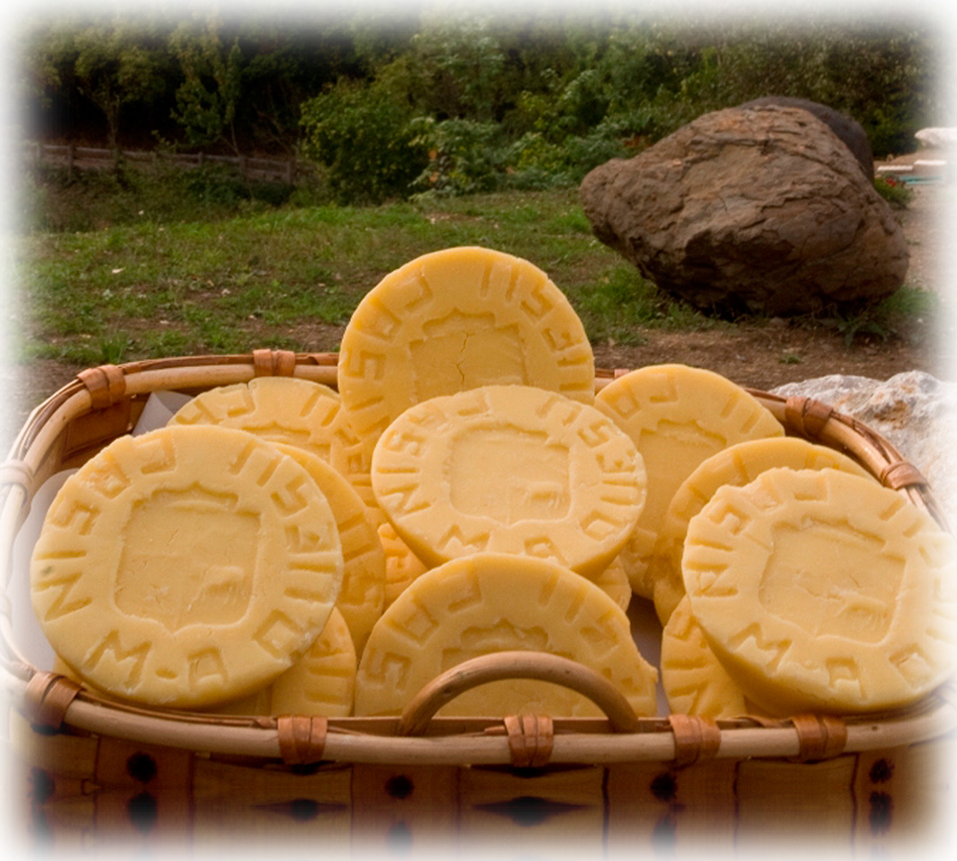 Casín