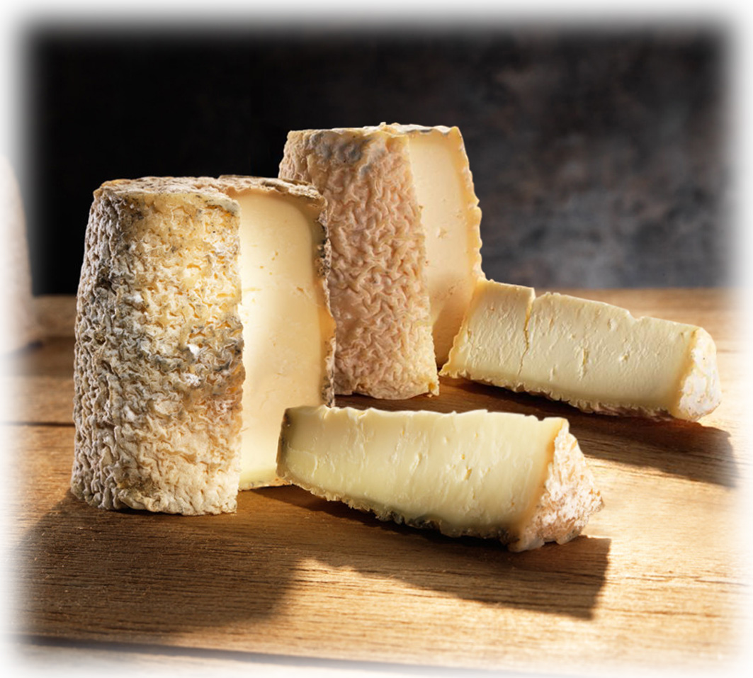 Chabichou du Poitou