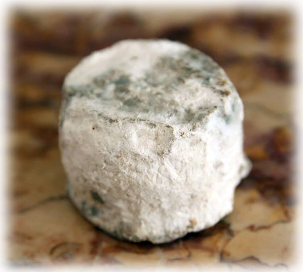 Chèvre du Montot