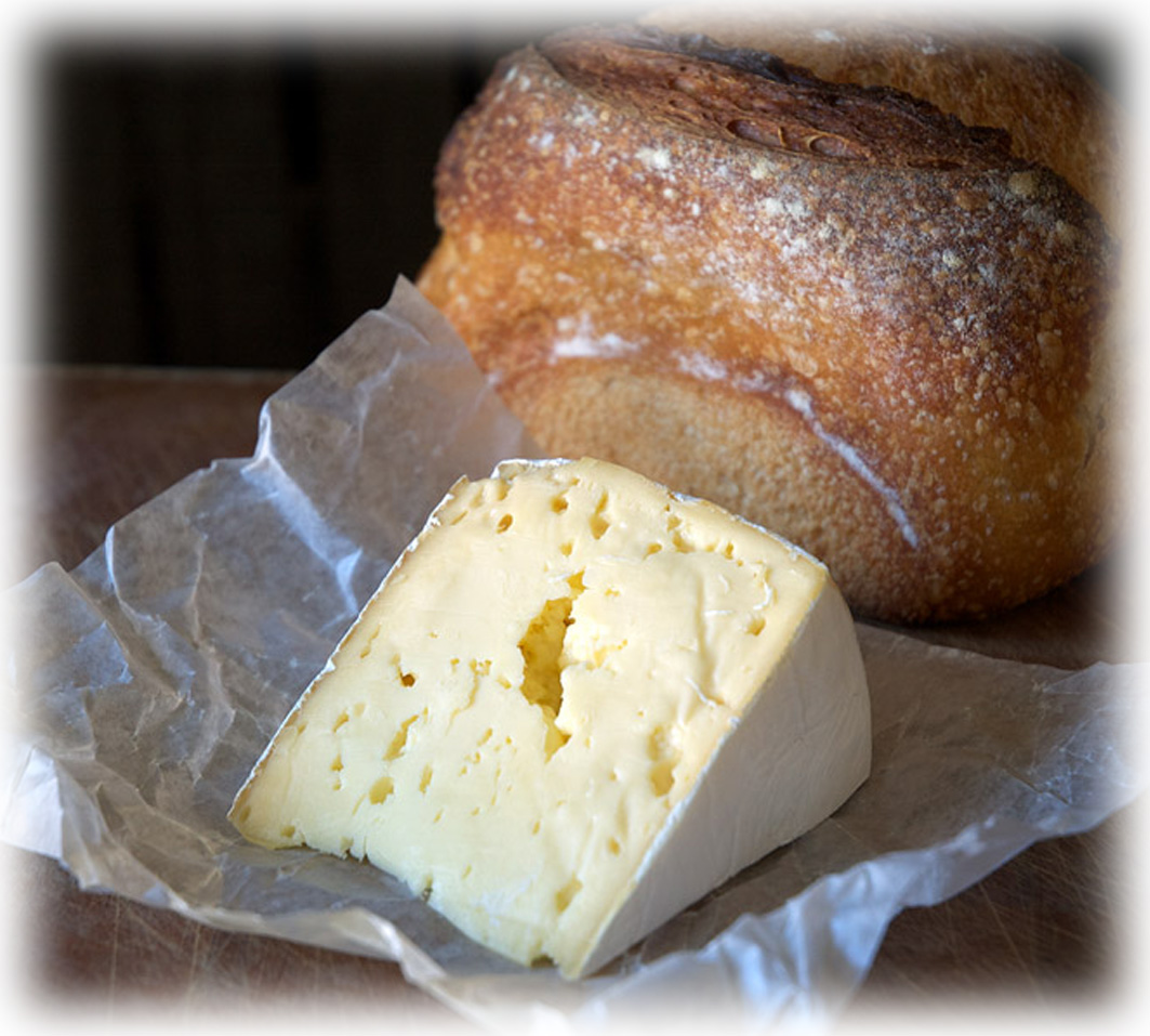 Evansdale Farmhouse Brie