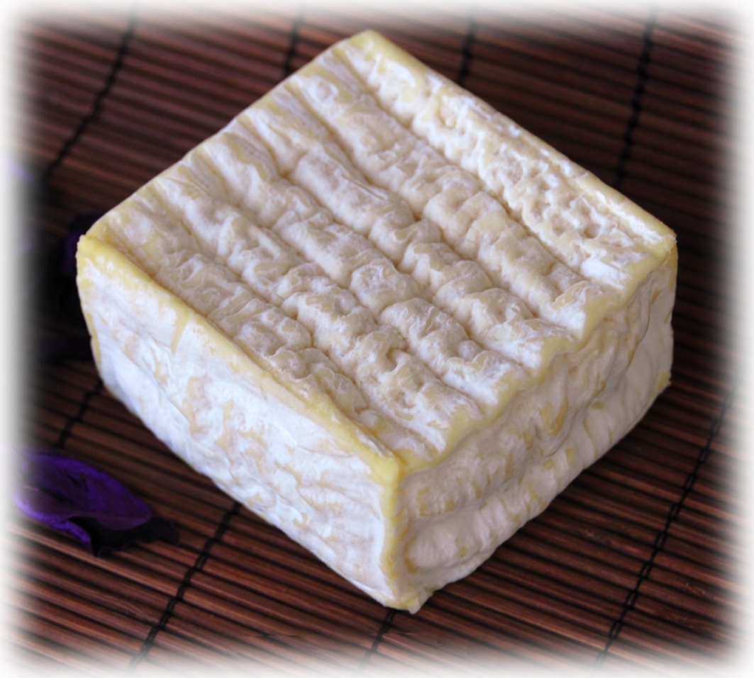 Le Carré de Chevre