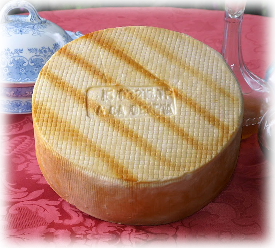 Palmero