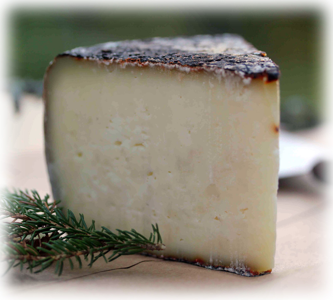 Pecorino Ginepro