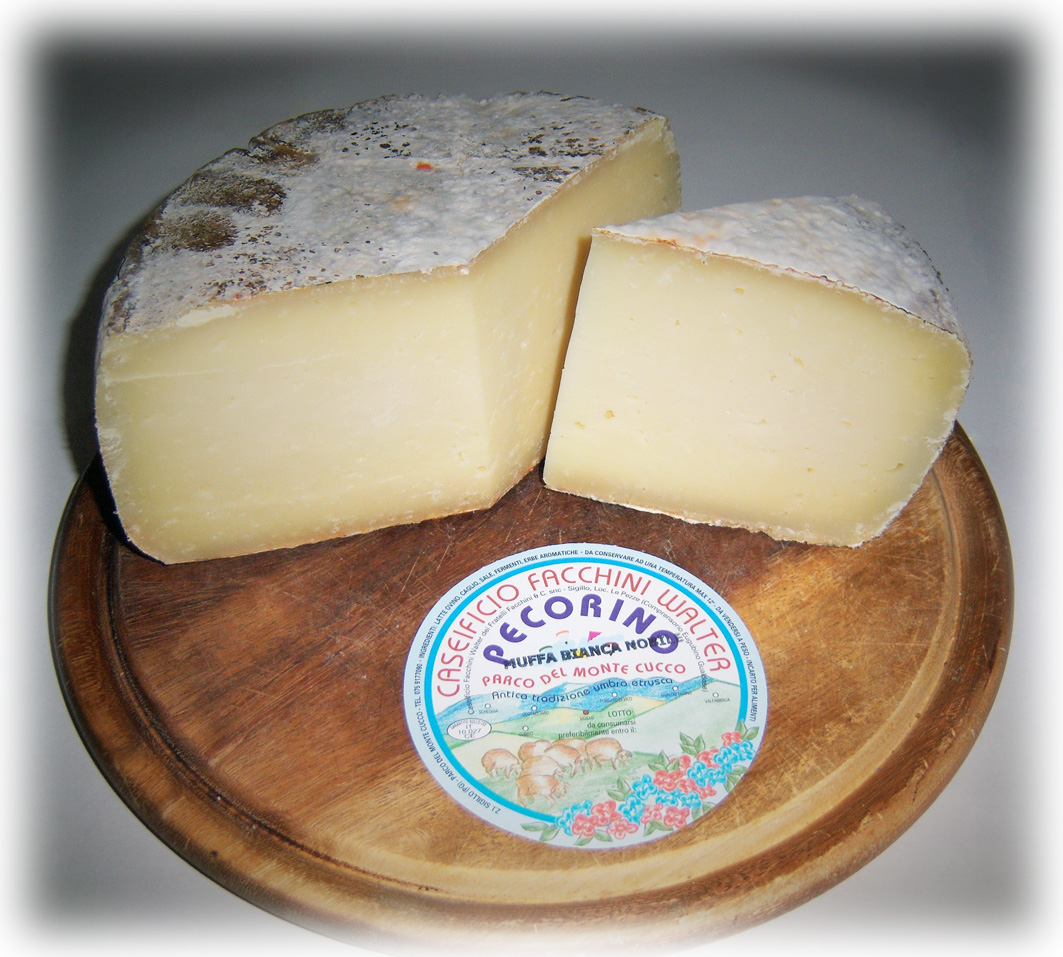 Pecorino Muffa Bianca