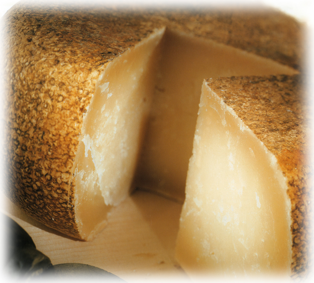 Pecorino Toscano