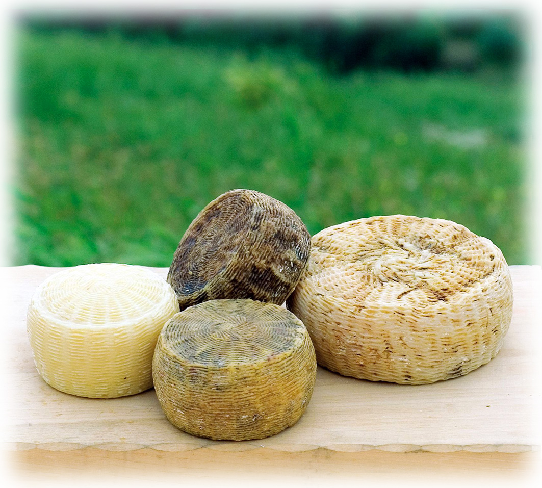 Pecorino di Farindola