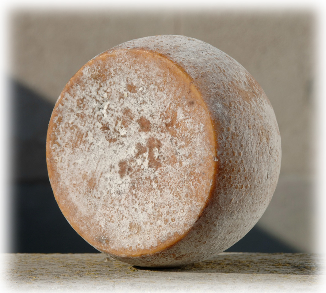 Pecorino di Osilo