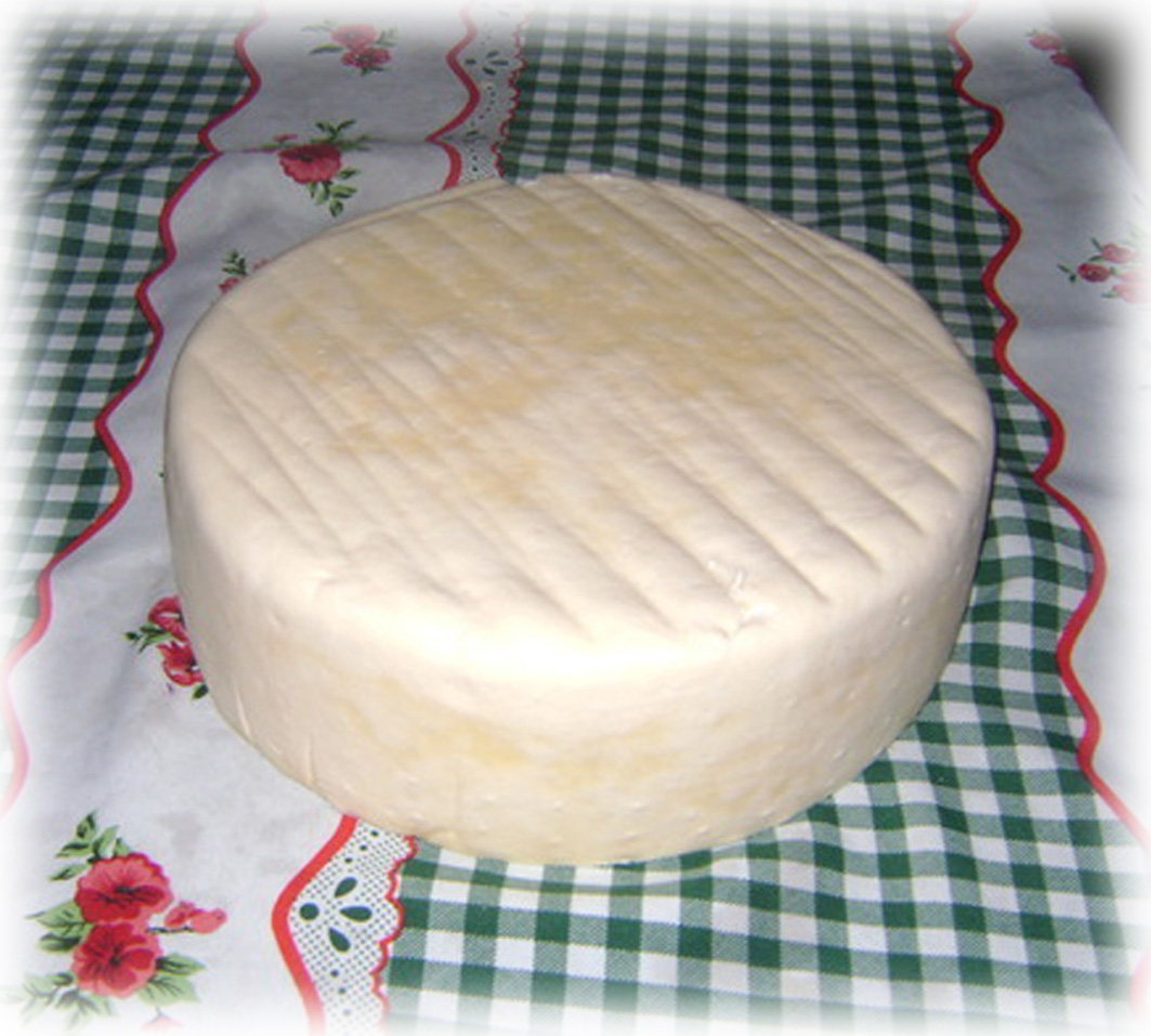 Queso Paraguay / kesú paraguai