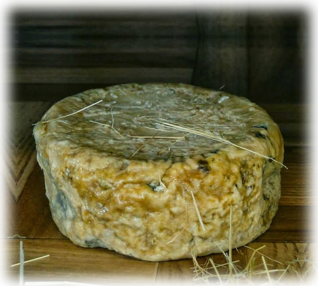 Queso de Cabra de Boloña