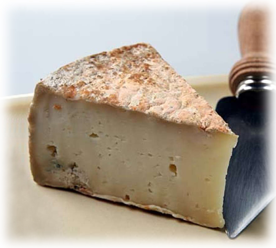 Sierra Mountain Tomme