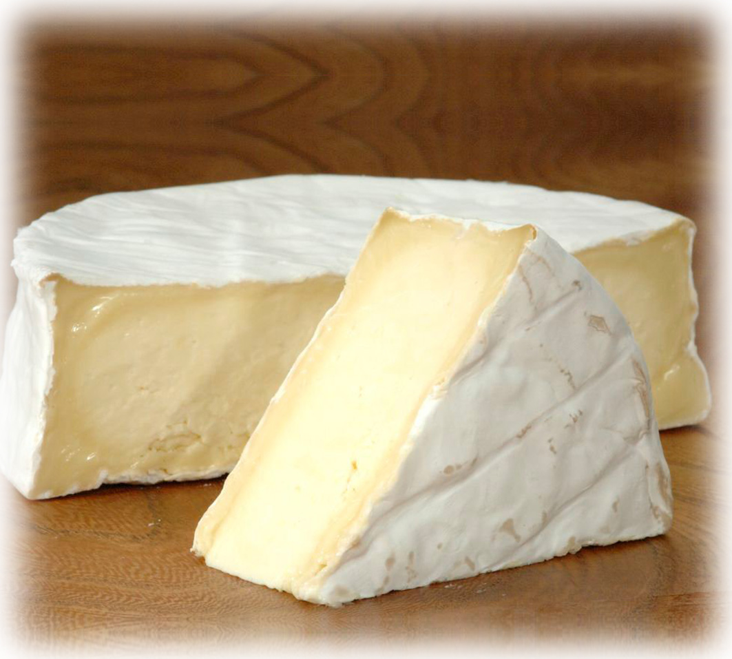 St. Endellion Brie