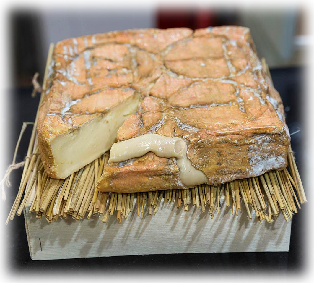 Taleggio