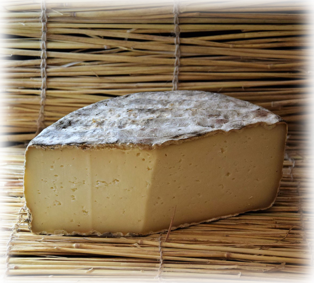 Tomme du Fédou