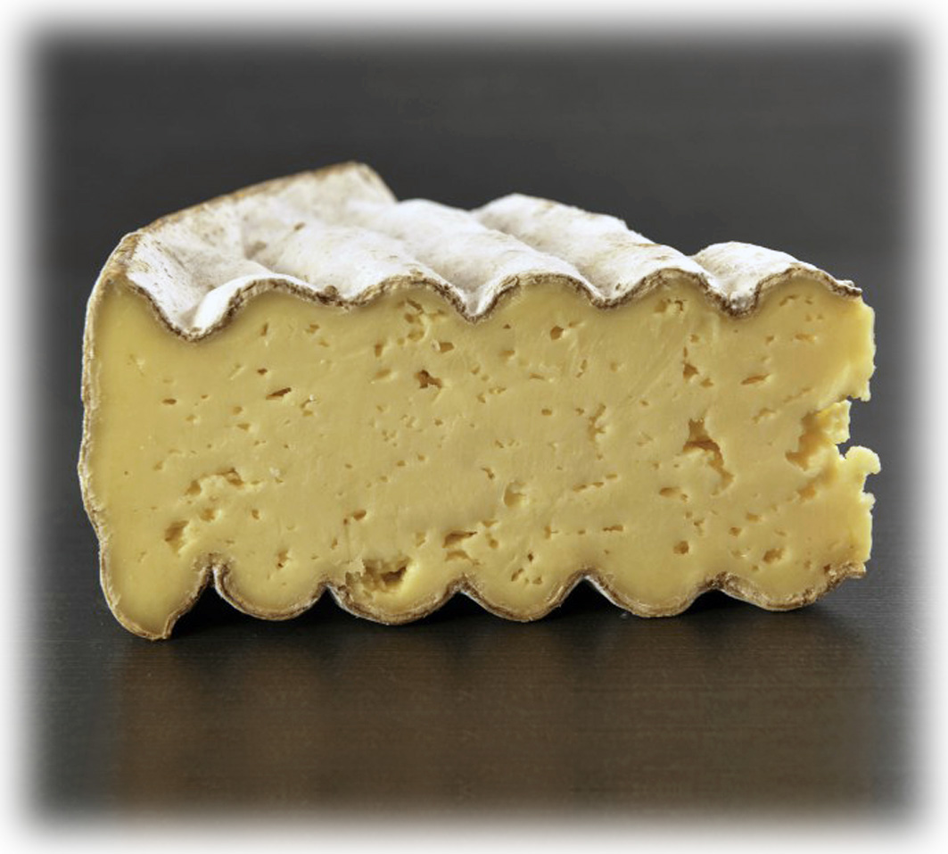 Tomme à Rudy