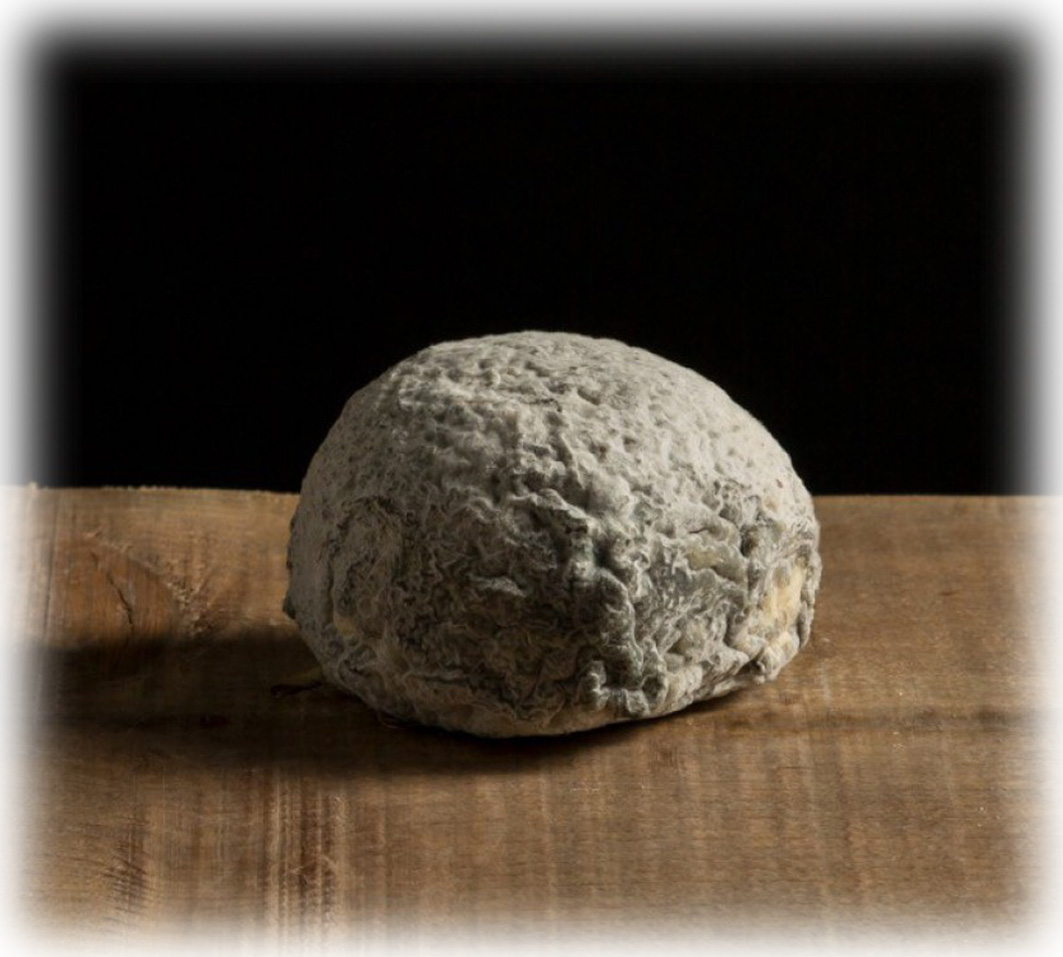 Truffe de Ventadour