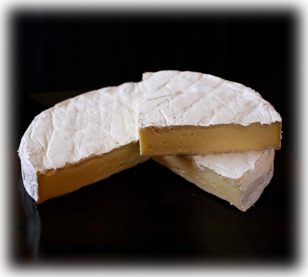 Waimata Camembert