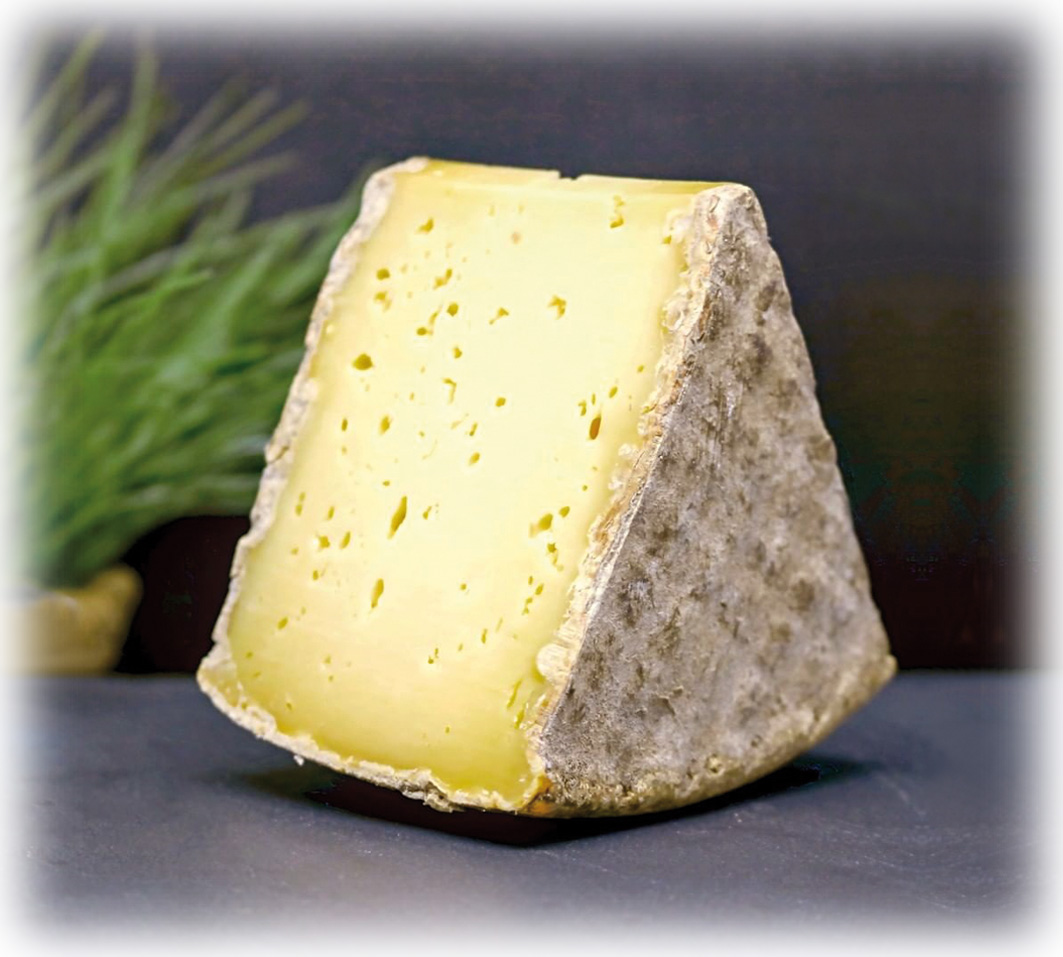 Tomme de Villedieu-Rouffigny