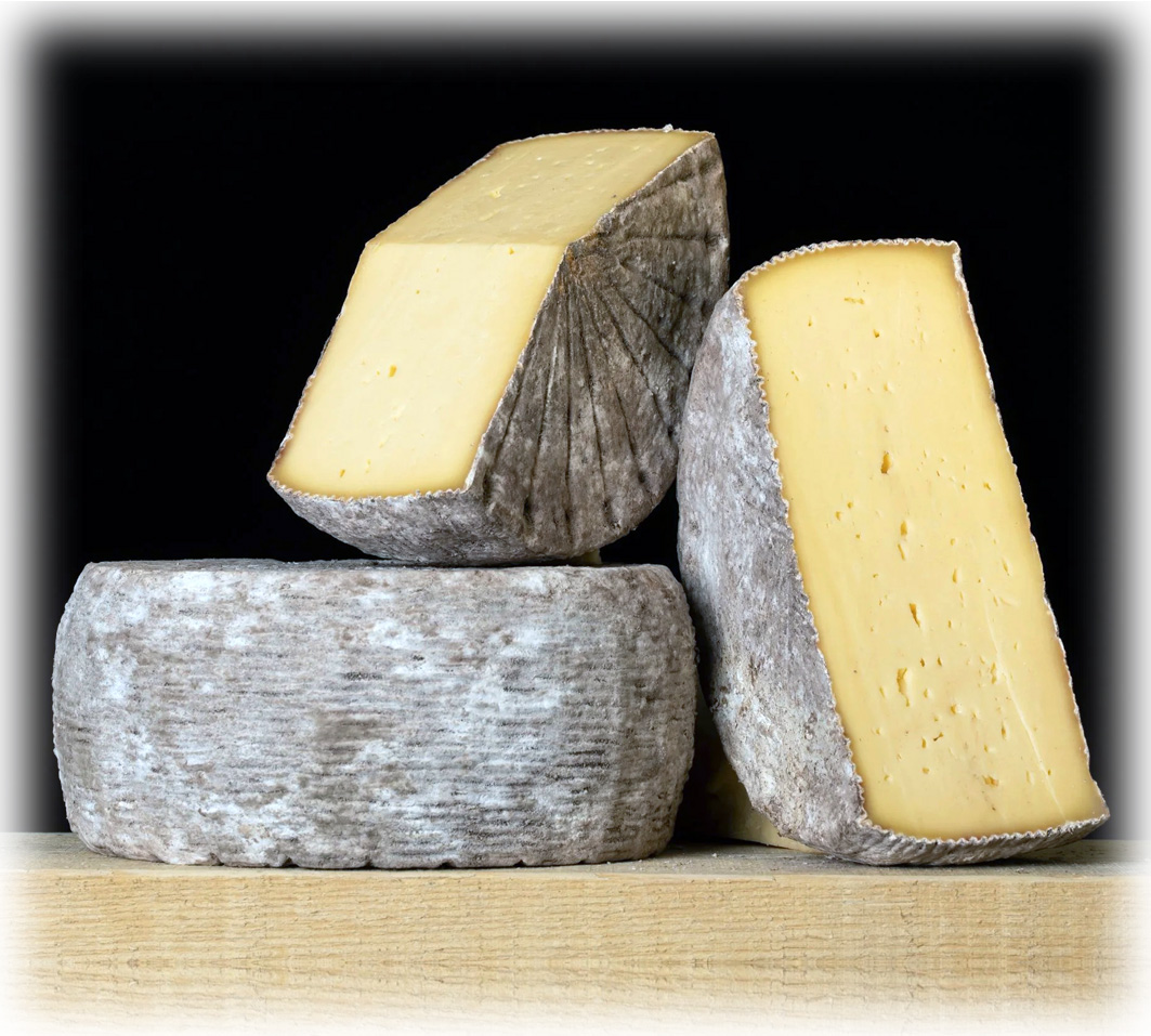 Swallow Tail Tomme-7_Gran-1