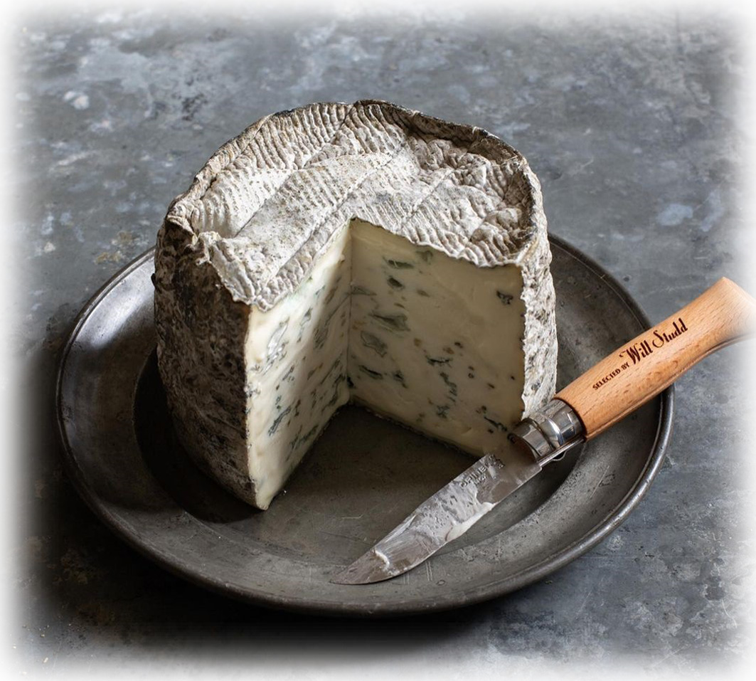 Le Marquis (Chèvre de Rambouillet Bleu)