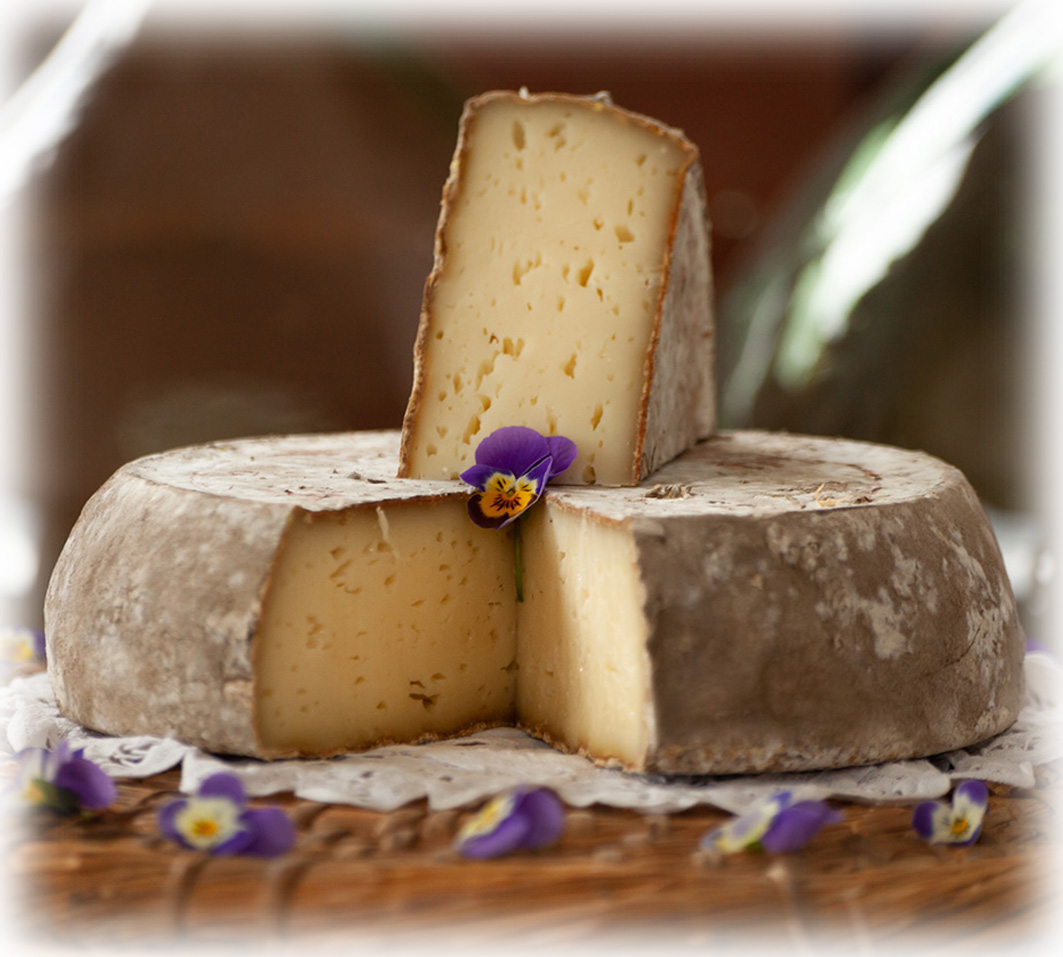 Tomme Allégée