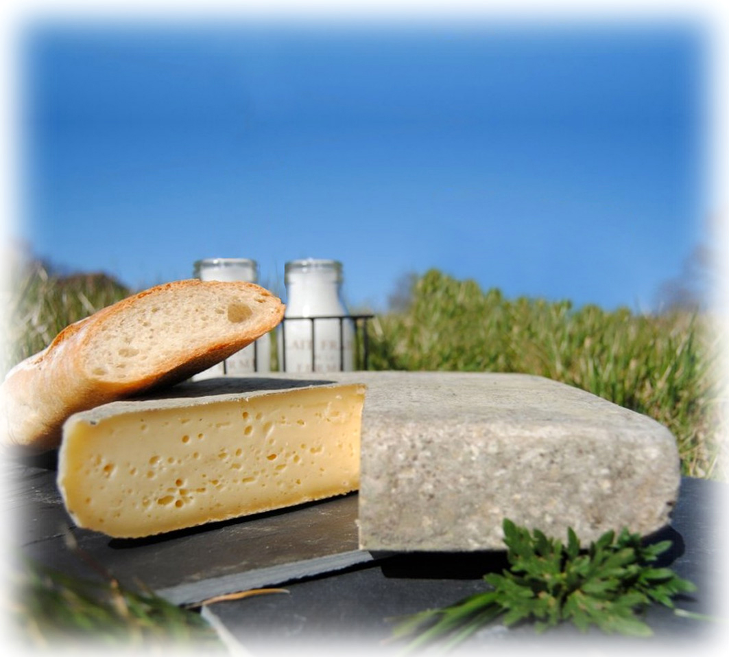 Tomme des Ardoisiers