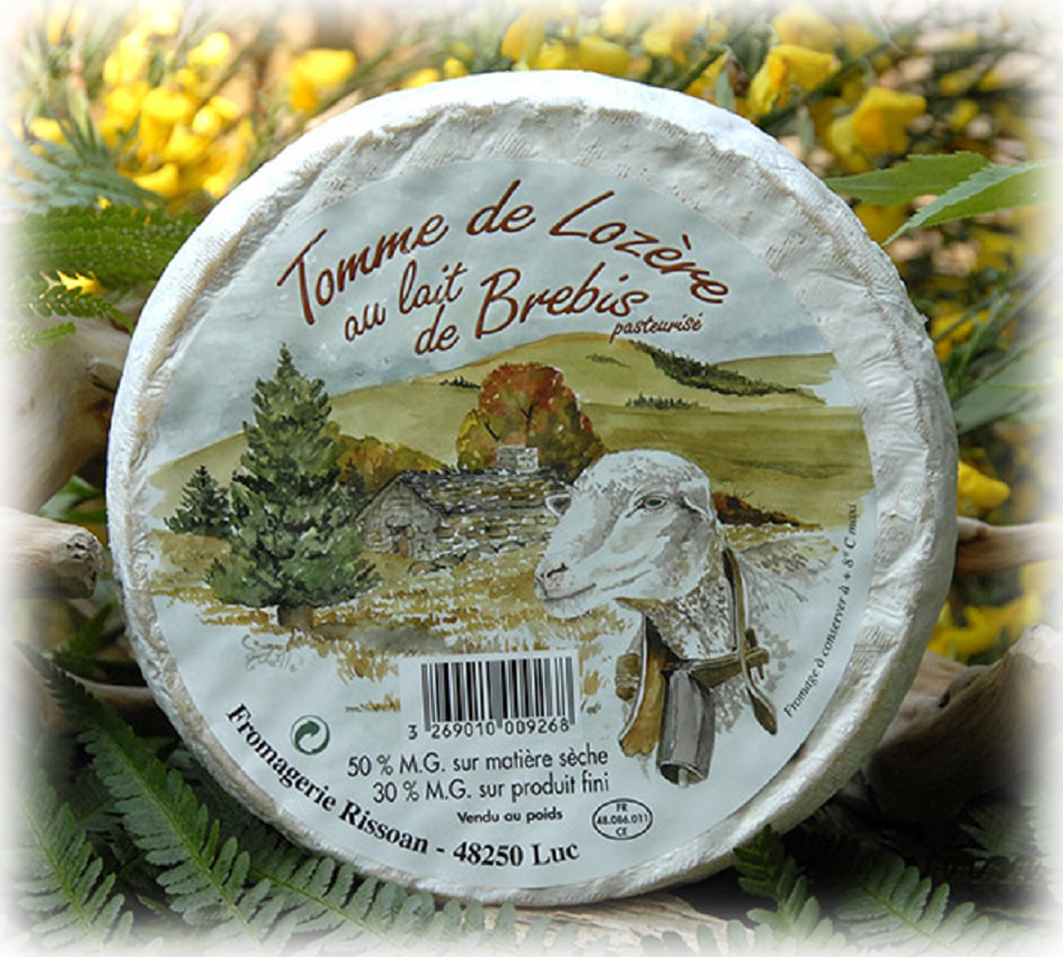 Tomme de Lozère