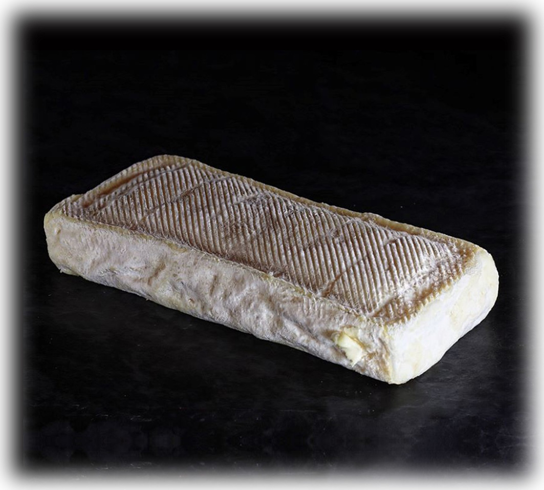 Brique Albigeoise