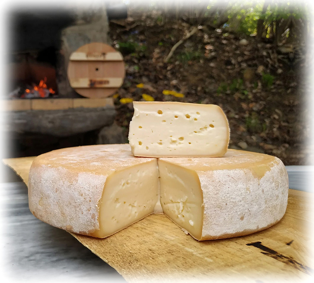 Tomme des Mayens