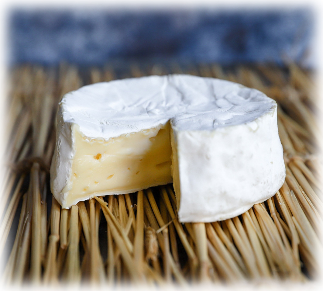 Witte Ossekop