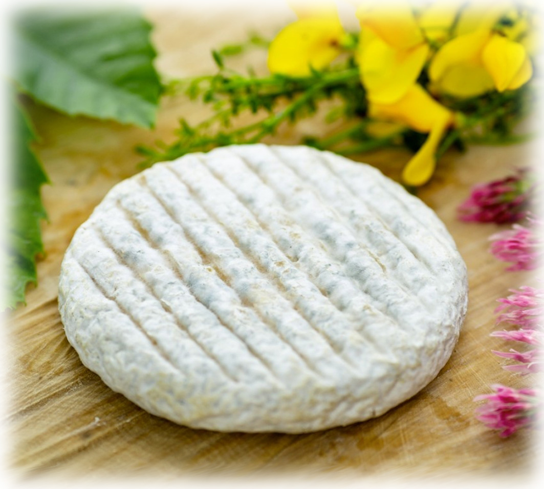 Caillé doux de Saint-Félicien
