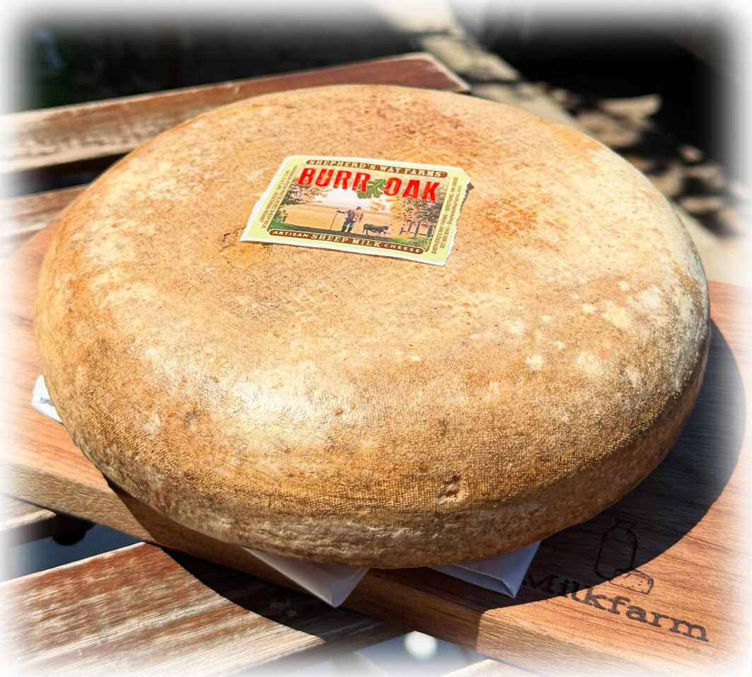 Burr Oak