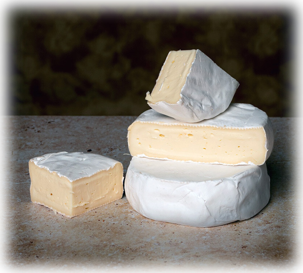 Charme de Möser – Der Passepartout