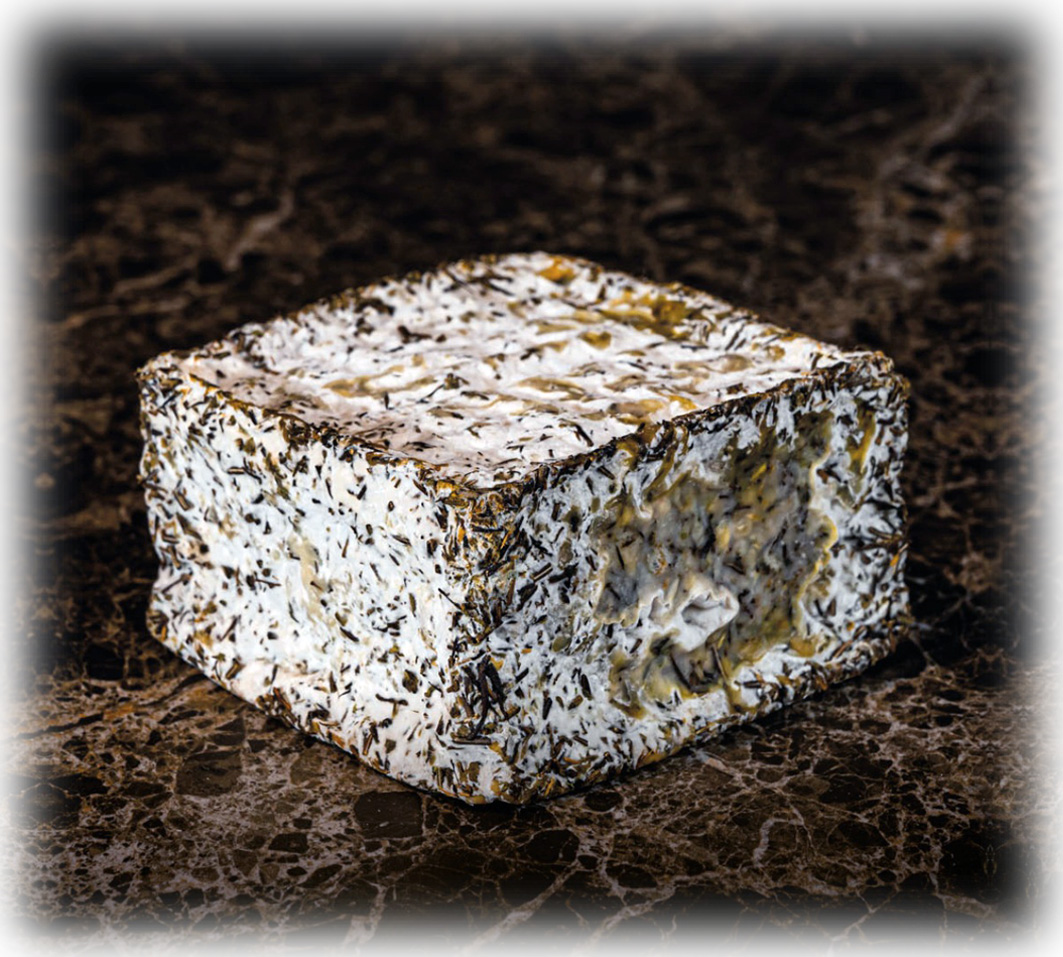 Cubotto Mediterraneo