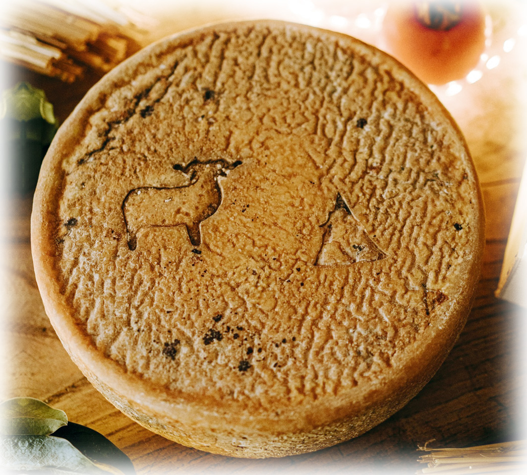 Tomme de Brebis Ossiniri