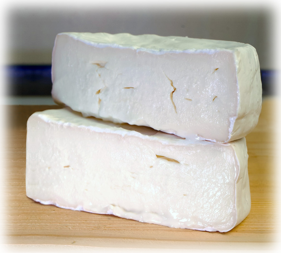 Junchetta