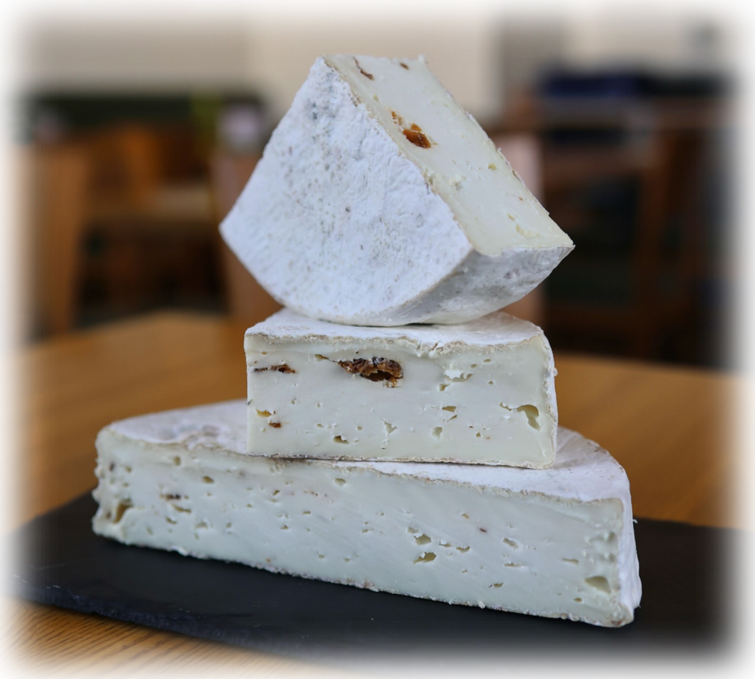 Morcella