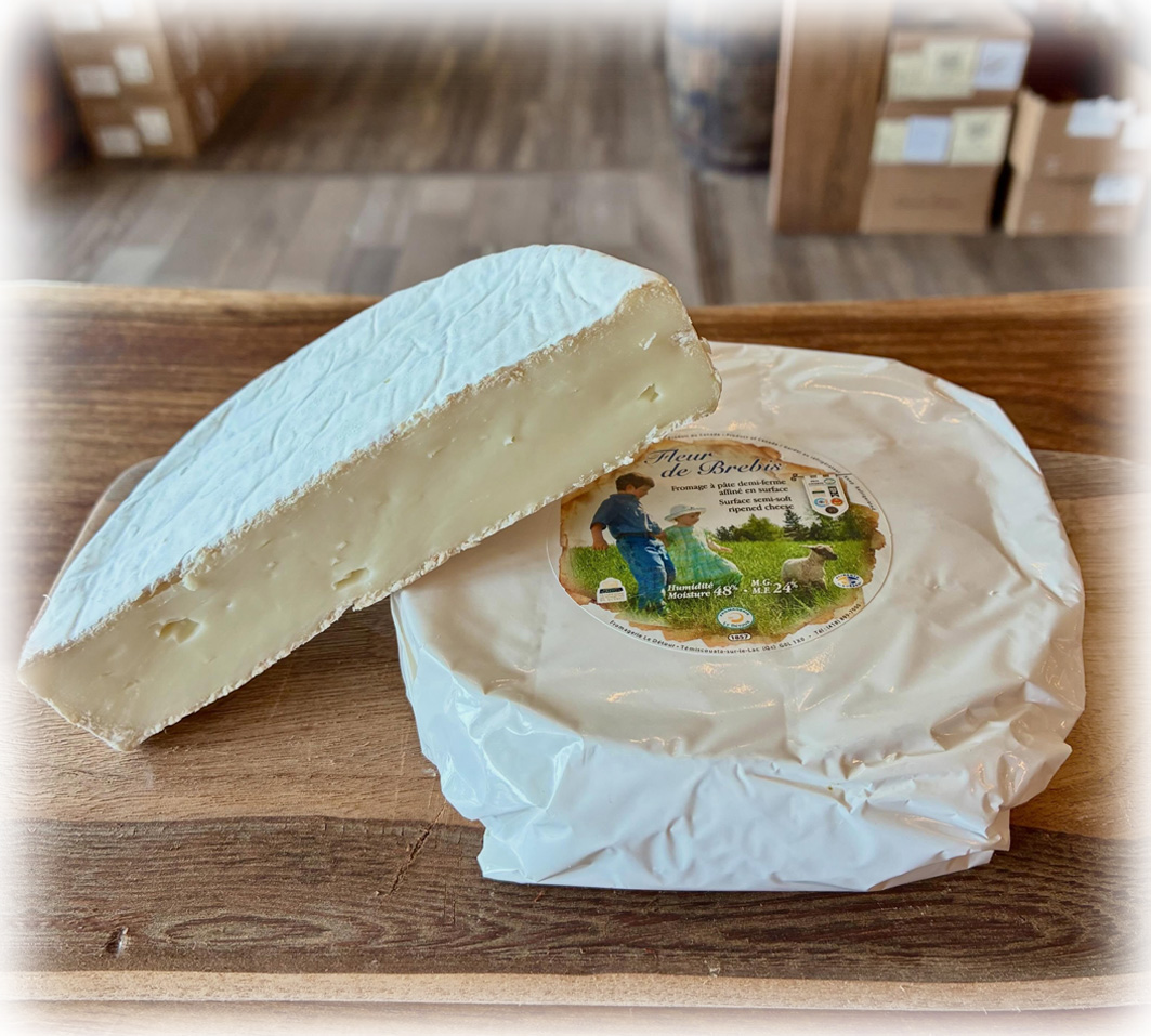 Fleur de Brebis