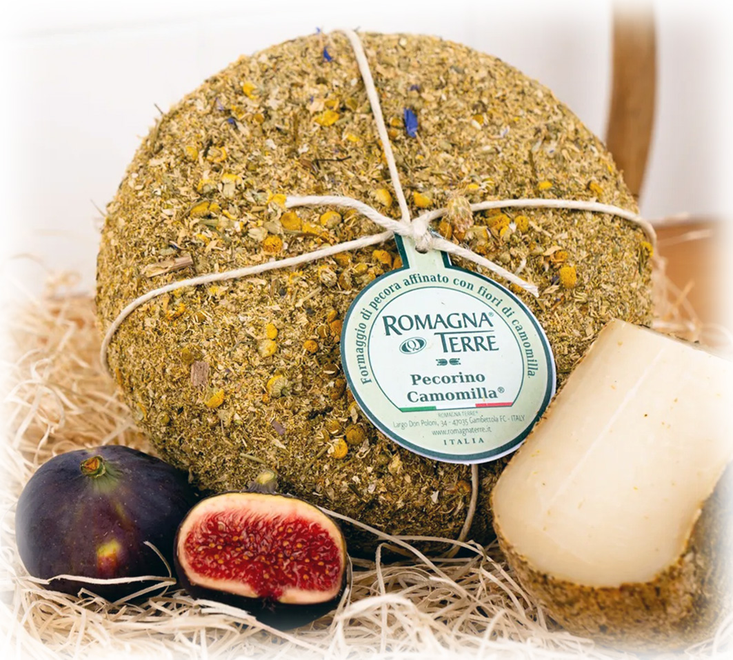 Pecorino Camomilla